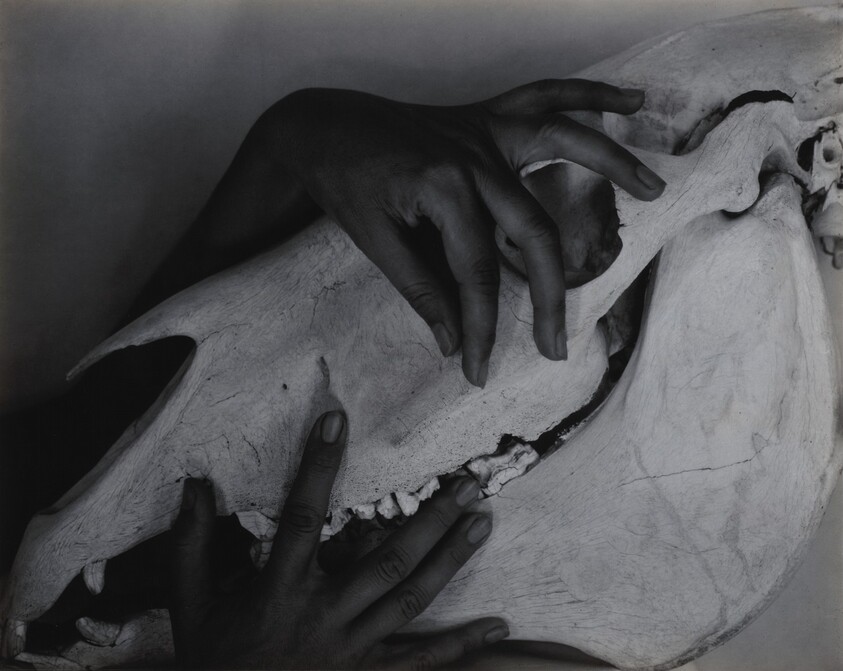 Georgia O'Keeffe—Hands and Horse Skull