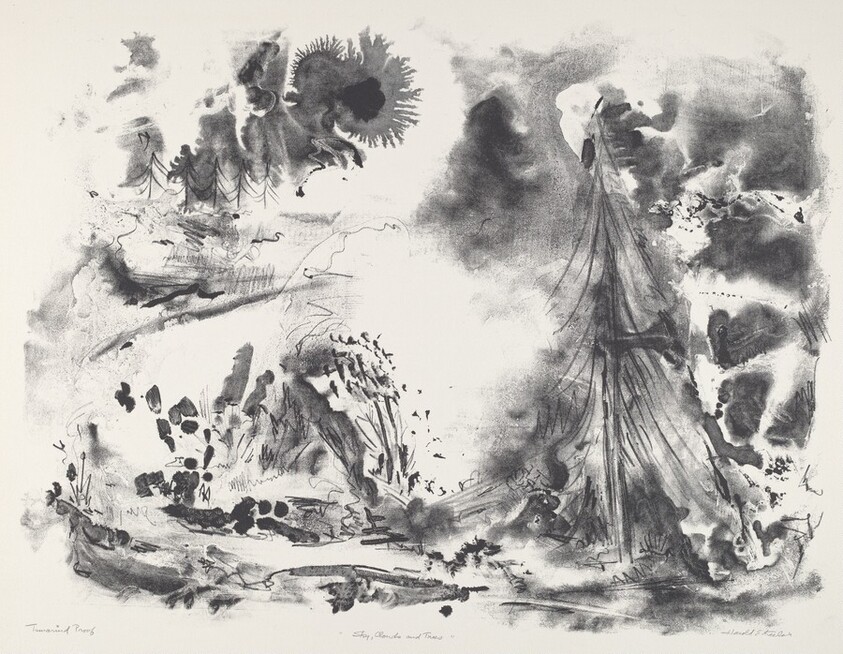 Sky, Clouds and Trees