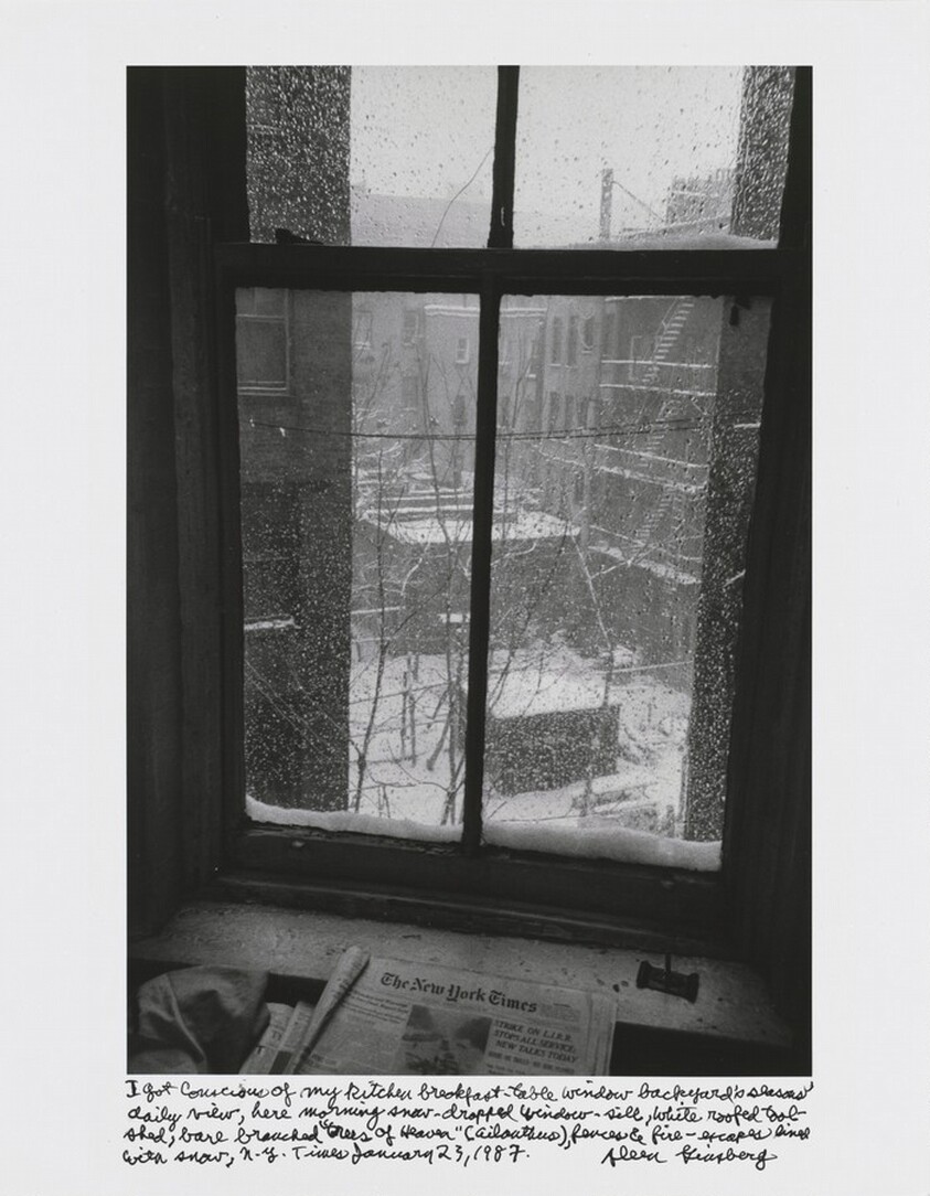 I got conscious of my kitchen breakfast-table window backyard’s seasons’ daily view, here morning snow-dropped window-sill, white roofed tool-shed, bare branched “trees of Heaven” (ailanthus), fences & fire-escapes lined with snow, N.Y. Times January 23, 1987.