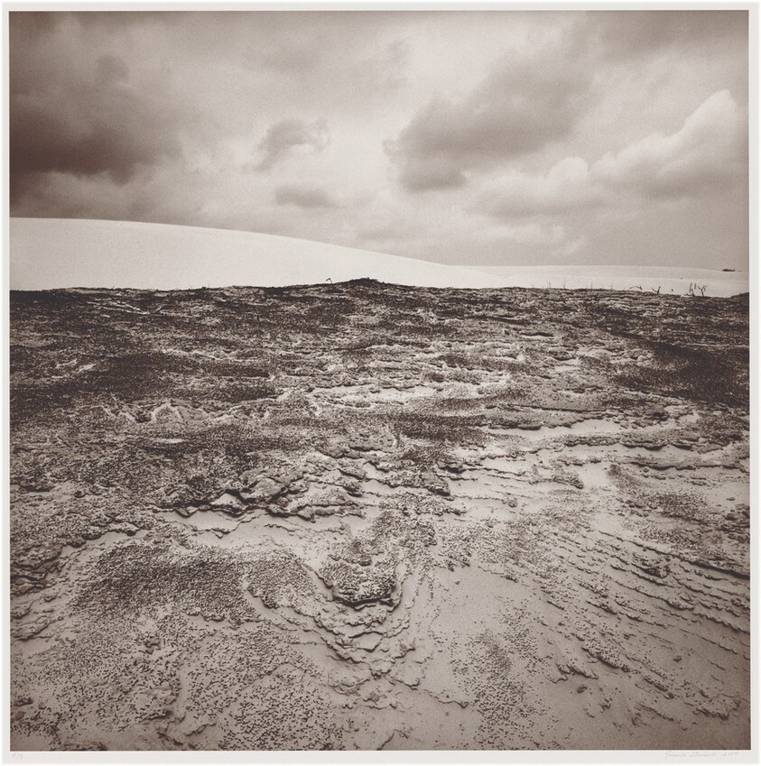 Rancho Santa Gertrudis, Sur de Texas (Santa Gertrudis Ranch, South Texas)