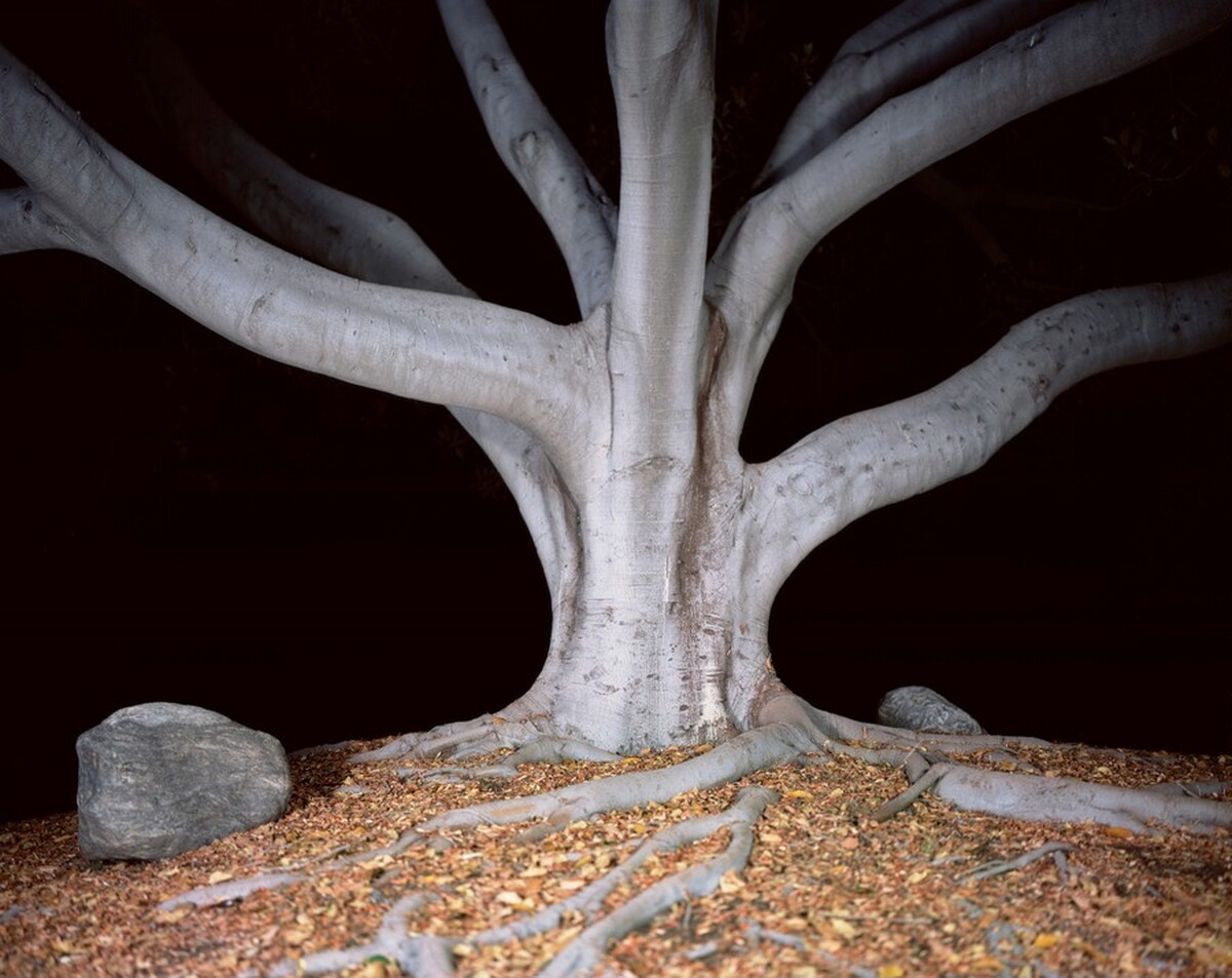 Nightfall I