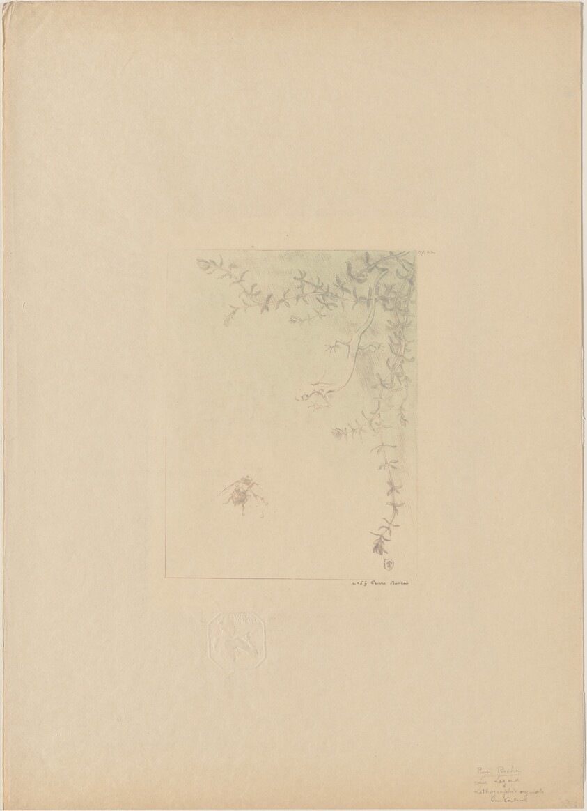 Salamander (La Salamandre)