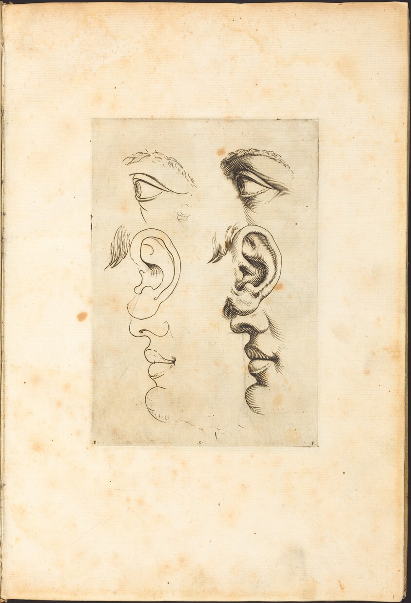 Print from Drawing Book