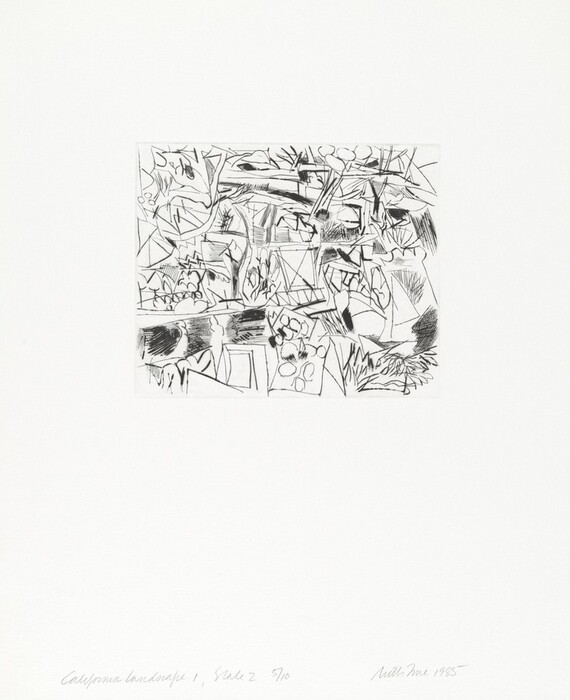 The image depicts interconnected geometric shapes and jagged lines arranged in a chaotic manner. Overlapping lines and shapes create a composition that could be reminiscent of trees, foliage, rock textures, or mountainous landscapes. The dynamic interplay of these elements creates a fragmented canvas with densely detailed areas and sparser regions, suggesting an abstract landscape seen through a fractured lens.
