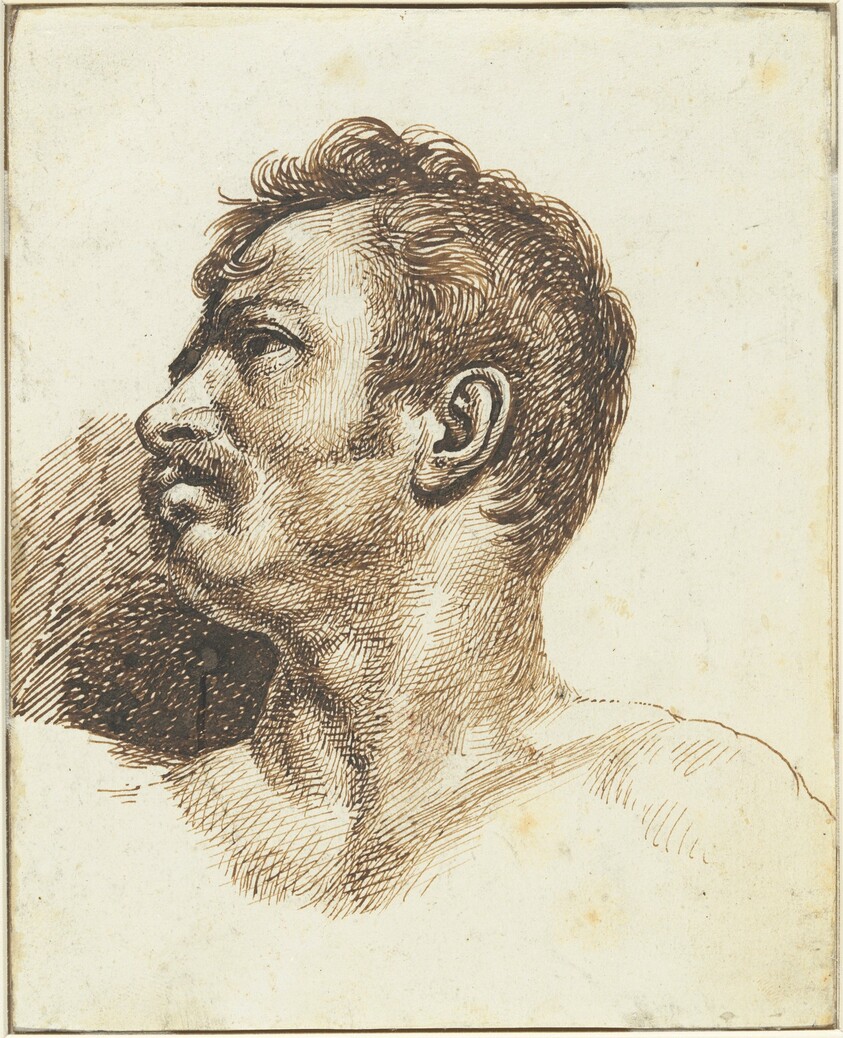 Head of a Man [recto]