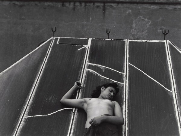 Gorrión, Claro (Skylight)