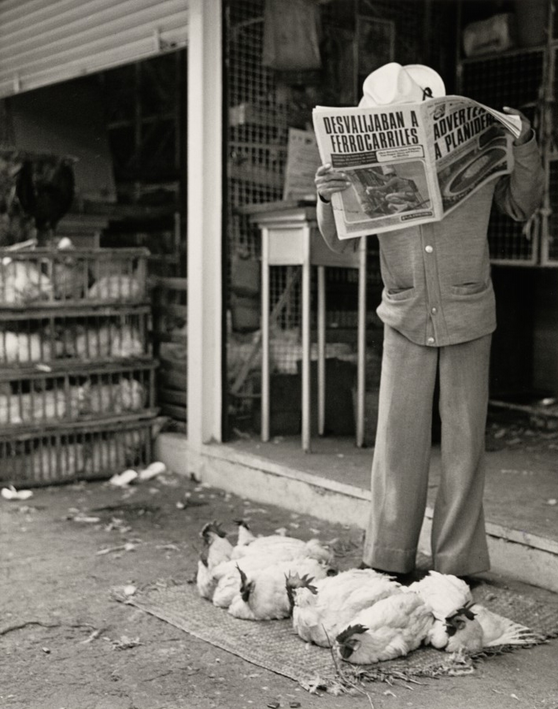 Mercado de Sonora, Ciudad de México, México (Sonoran Market, Mexico City, Mexico), Graciela Iturbide, 1978, printed 2012