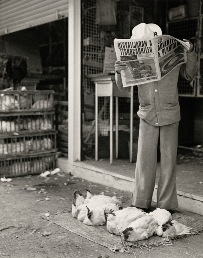 Mercado de Sonora, Ciudad de México, México (Sonoran Market, Mexico City, Mexico)
