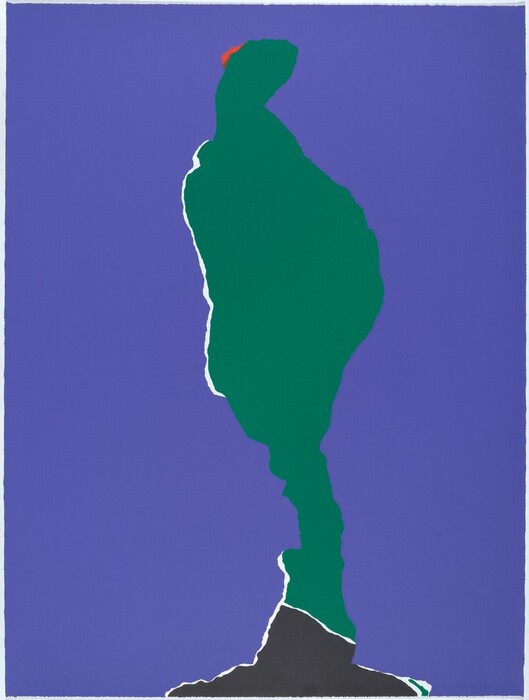 The image shows a green shape with a wavy outline, set against a purple background. The composition is outlined with a white line. A small red section is present at the top. The green shape transitions into a black area at the bottom.