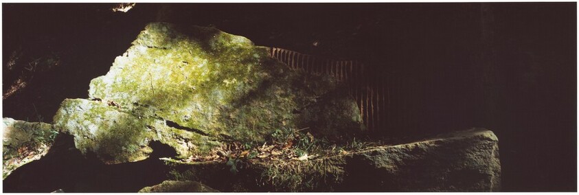 Clay/ Worked into a Stone/ Edges to Catch the Passing Light/ Government Island, Virginia