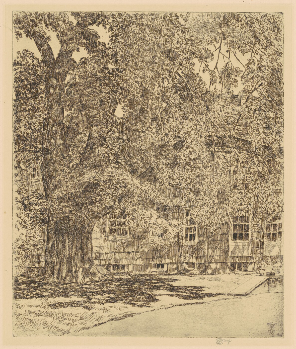 Giant Elm, Easthampton by Childe Hassam