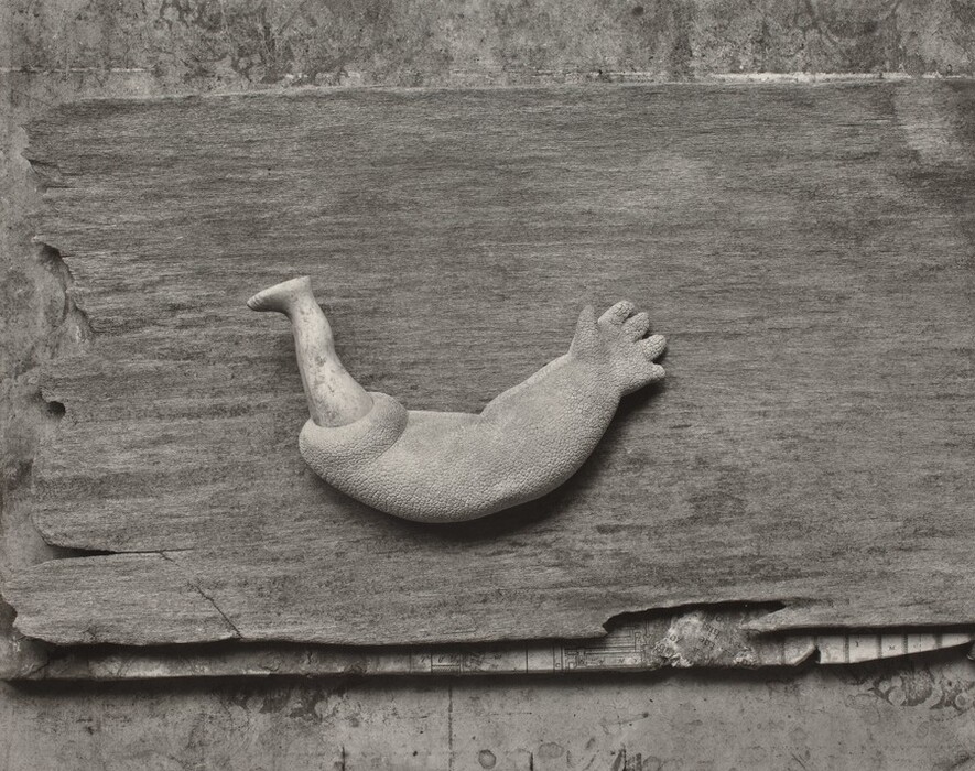 The sculpture depicts a combination of a human leg and a bird's foot. It is intricately detailed, showcasing a bent human leg from knee to toe, seamlessly transforming into what resembles a bird’s paw. The color of the sculpture is a monochromatic grey, harmonizing with the similarly toned background. The material appears to be stone or a similar heavy, textured material, giving it a rugged and tactile appearance. The sculpture is laid horizontally on a flat, rough surface that looks like aged wood, offering a neutral background that highlights the shape and contours of the subject in contrast. The composition suggests a fusion of biological forms.