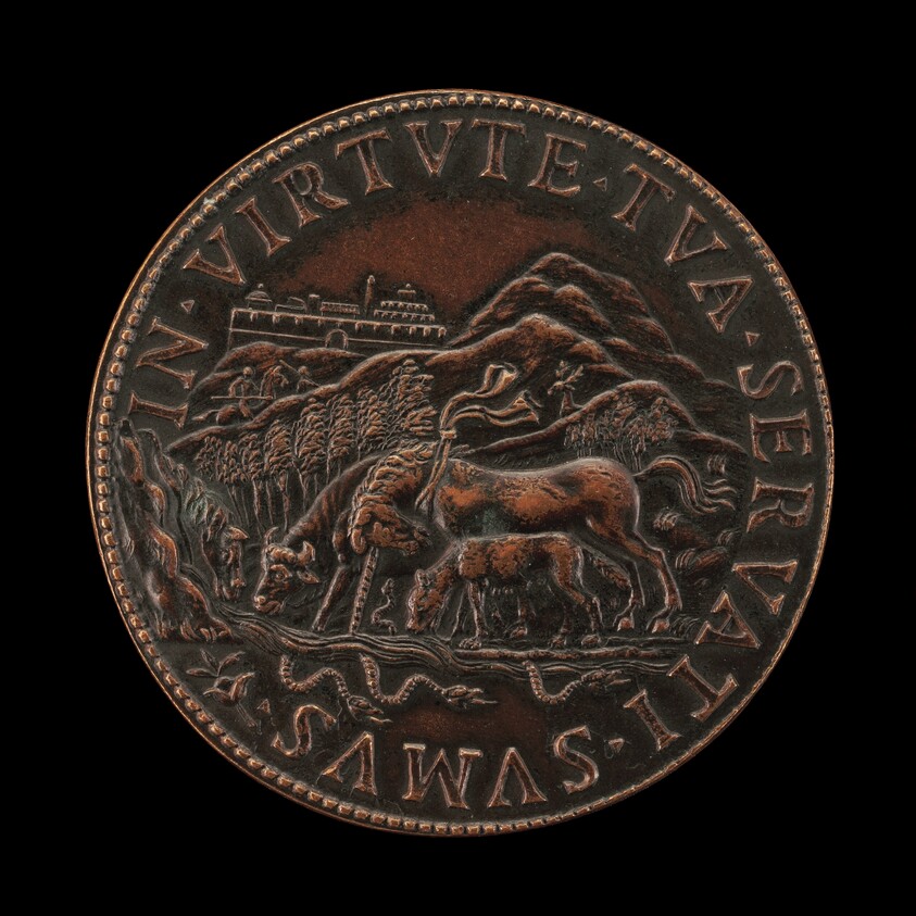 Unicorn Purifying the Realm [reverse]