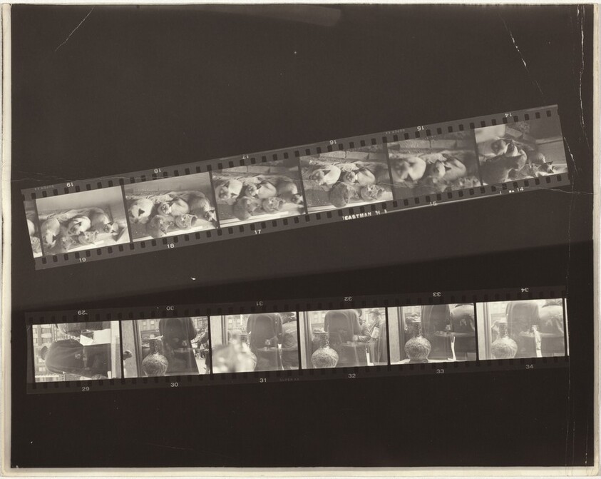 Children and family no number