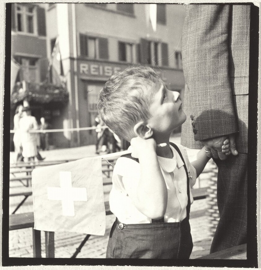 Boy holding flag on national holiday