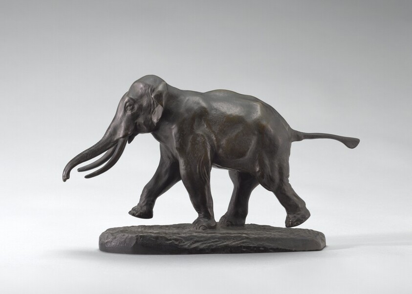 Cochin China Elephant