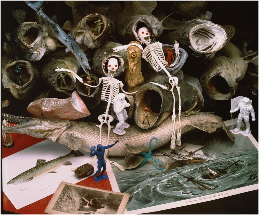 Large Mouth Bass D-Zaster