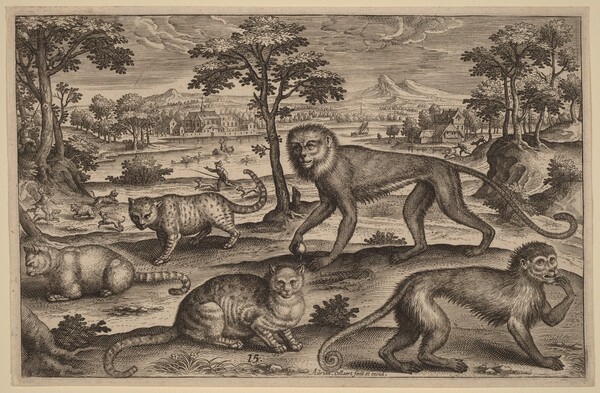 Three Cats and Two Monkeys