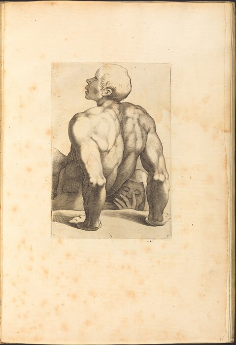 The image shows a muscular person from the back seated with legs bent and hands resting on the ground. The person's head is turned towards the left and tilted upward. The background is plain with a textured appearance, similar to aged paper, framing the core illustration.