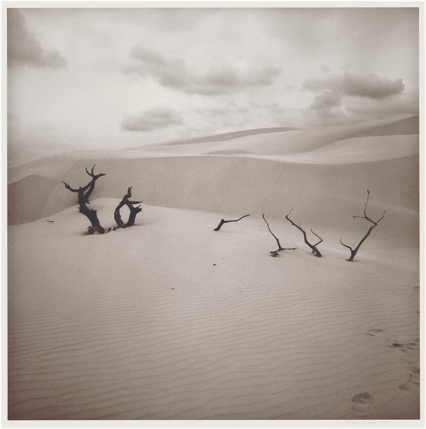 Rancho Santa Gertrudis, Sur de Texas (Santa Gertrudis Ranch, South Texas)