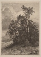 Grove of Trees, Alexandre Calame, 1838