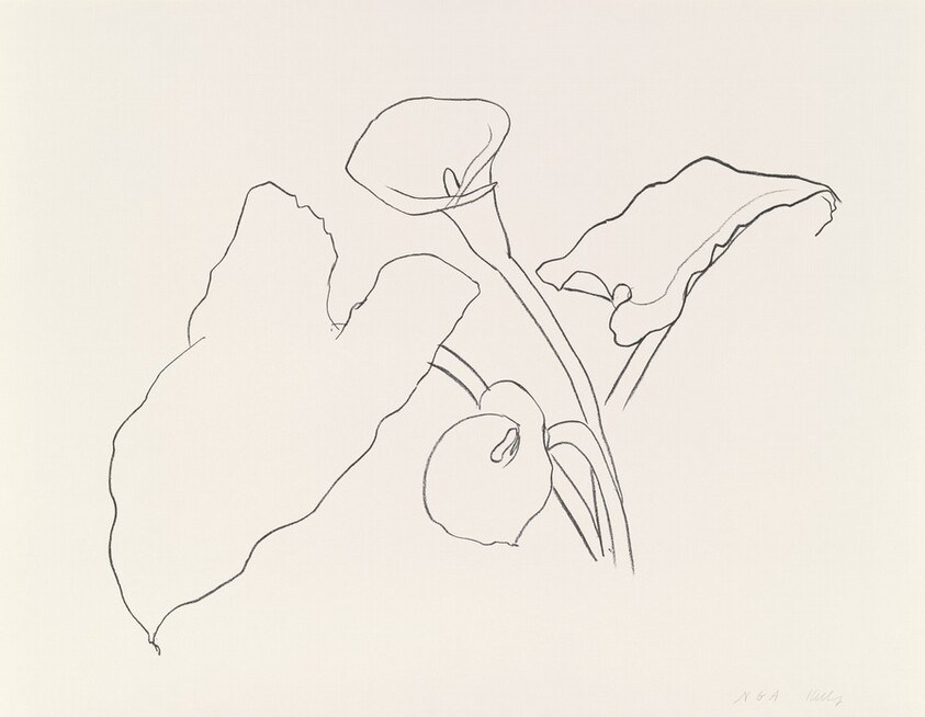 Calla Lily I