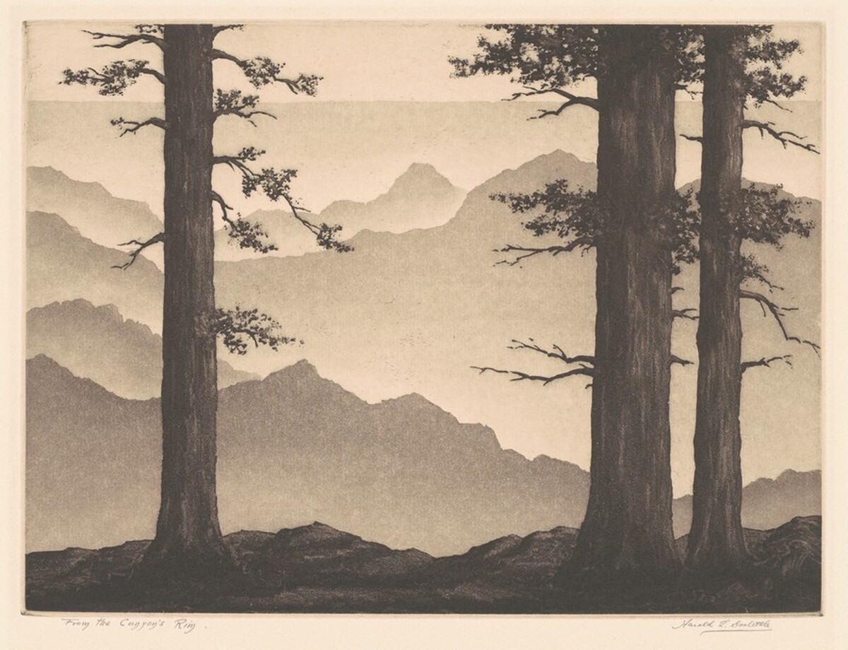 From the Canyon's Rim