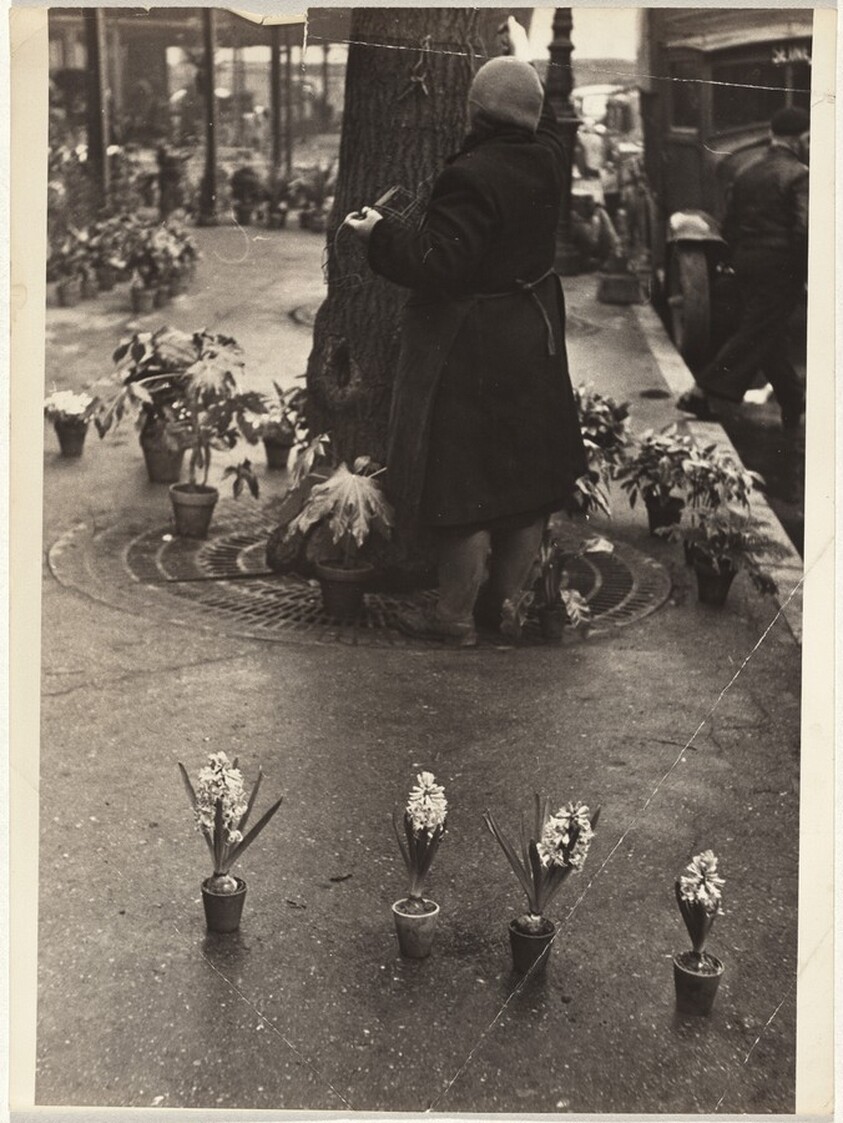Flower vendor on street, Paris