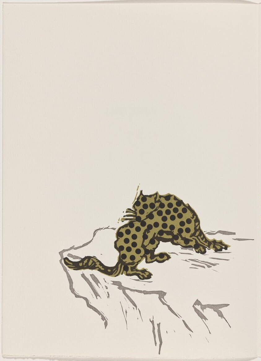 Cheetah