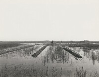 Untitled, Ursula Schulz-Dornburg, 1980