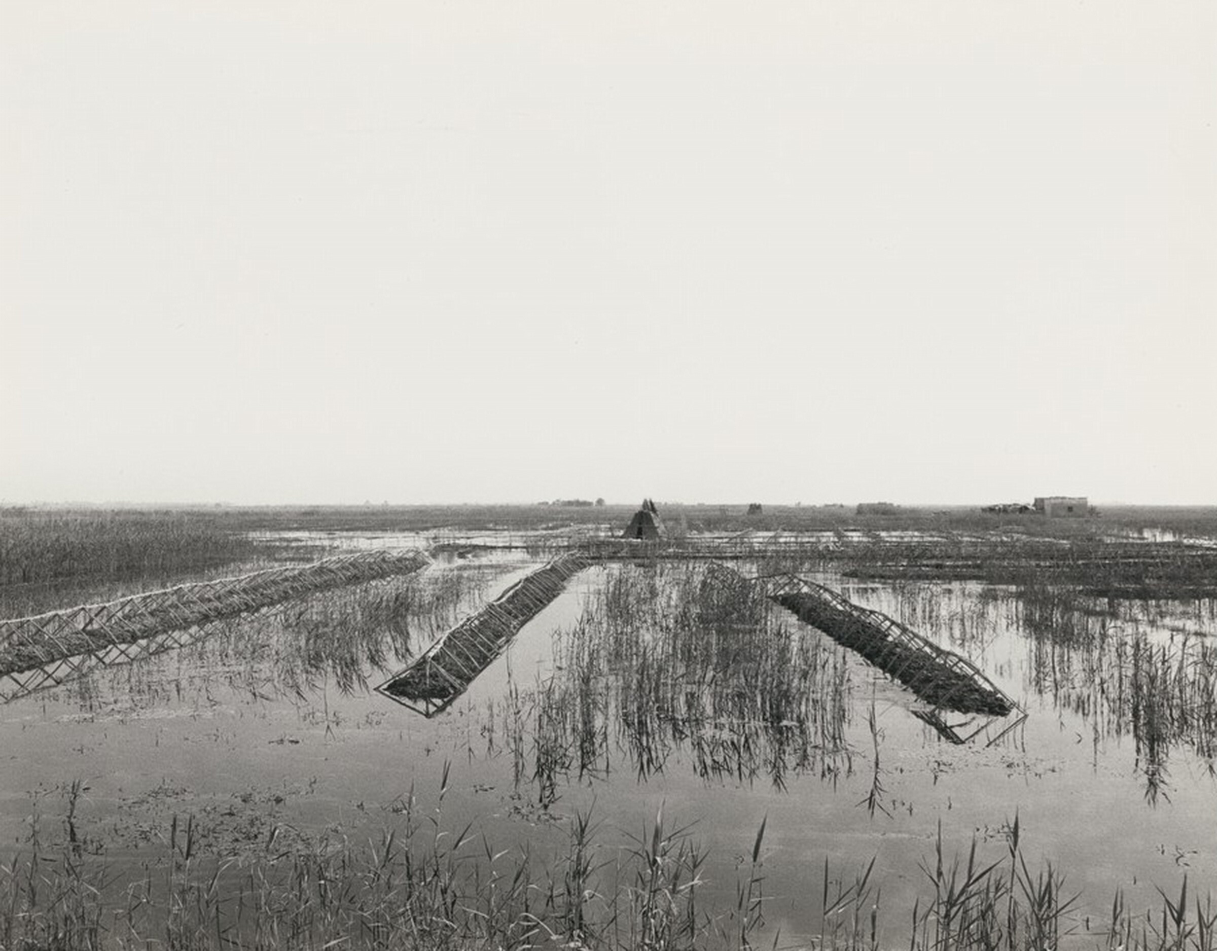 Untitled, Ursula Schulz-Dornburg, 1980