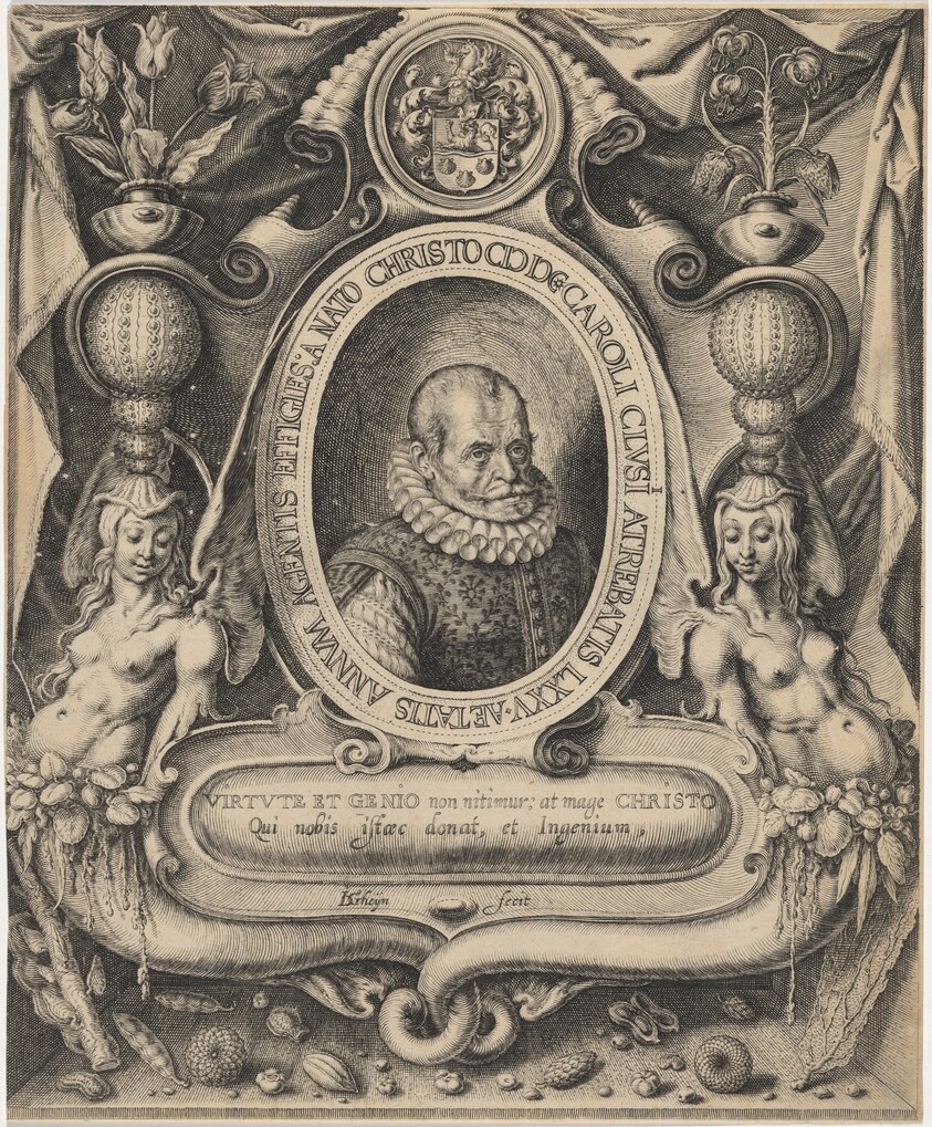 Carolus Clusius, Professor of Botany at Leyden