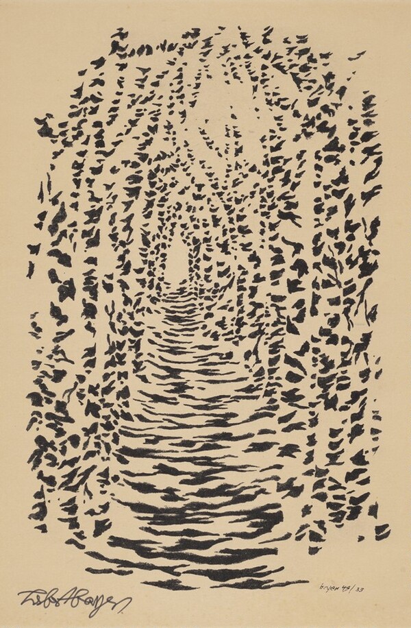 Untitled (Abstract Patterning of Light and Shadow on a Tree-lined Path)