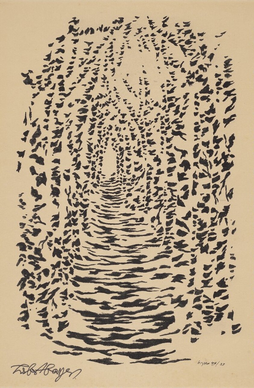 Untitled (Abstract Patterning of Light and Shadow on a Tree-lined Path)