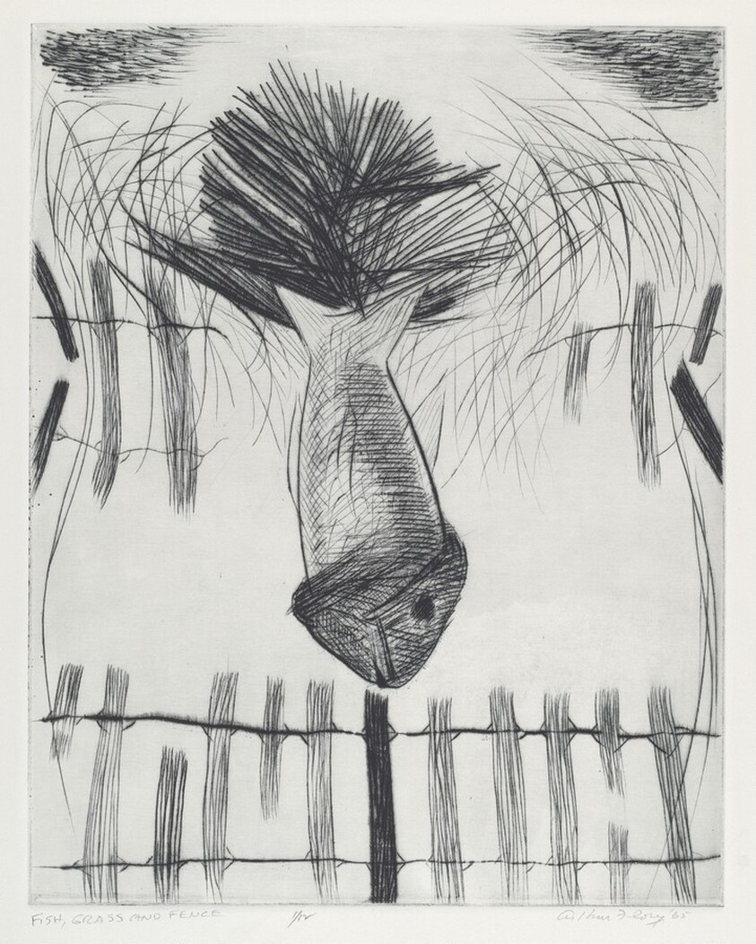 Fish, Grass and Fence