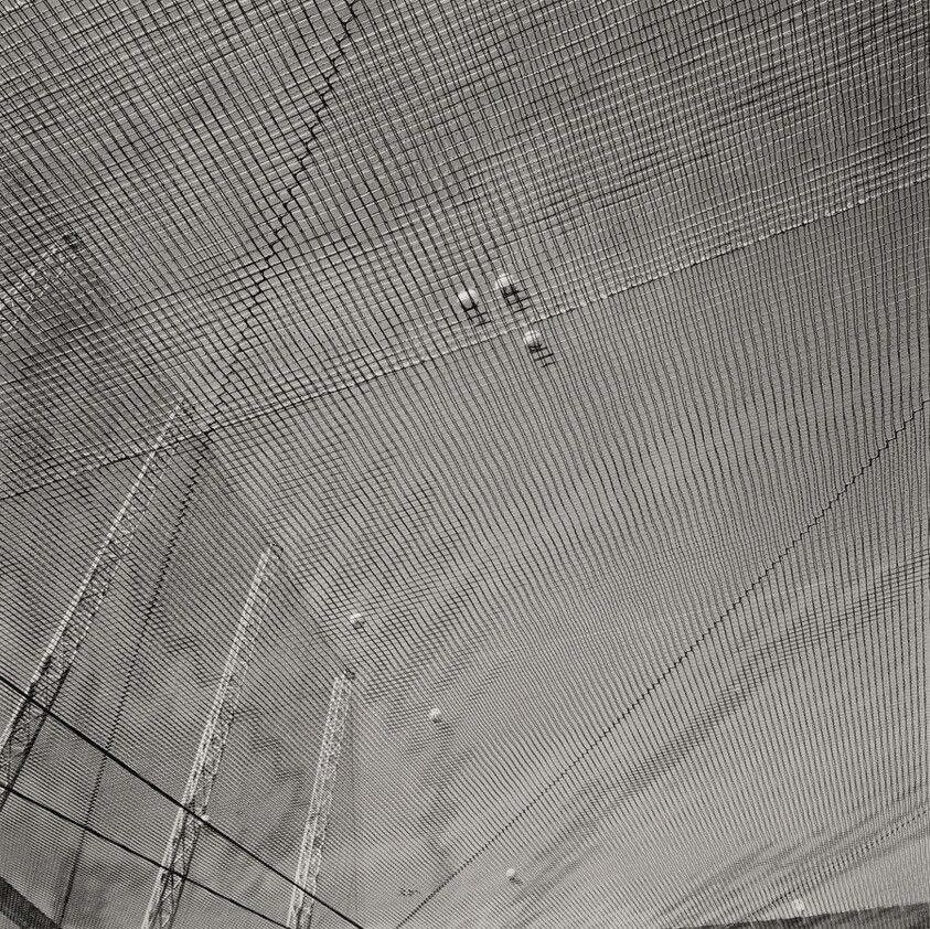 Sin título (Untitled)