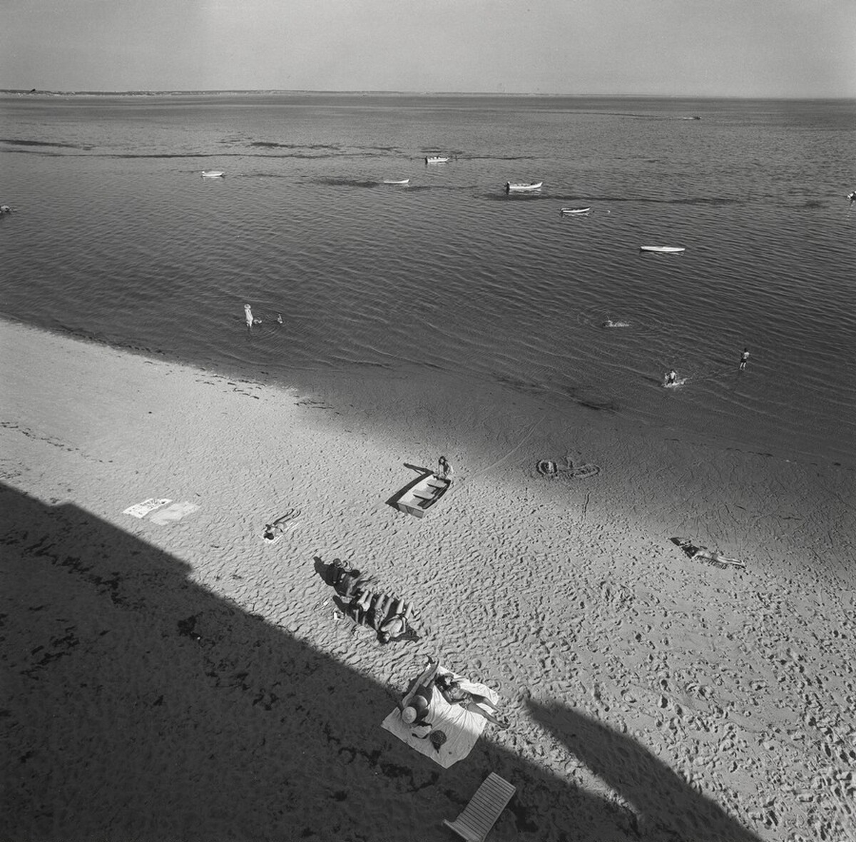 Cape Cod