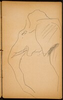 Elefant (Elephant) [p. 23], Max Beckmann