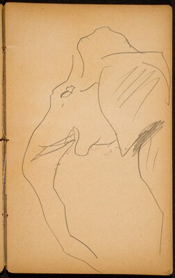 Elefant (Elephant) [p. 23]