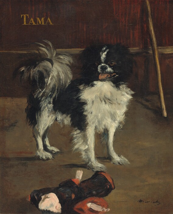 A small, shaggy, black and white dog stands in a wood paneled room with its body angled to our right but turning its head, pink tongue out, to our left in this vertical painting. The animal is painted with loose brushstrokes that evoke the dog’s long, feathery fur. The dog peers to our left with golden brown eyes. It is black along its flanks and ears, with a stripe of white down the center of the head, and on the muzzle. The chest, belly, and legs are also white, and the bushy tail, which curls up and out like a fountain, is a mixture of black and white. Leaning on the paneling behind the dog to our right is a light wood walking stick. An object, presumably a stuffed toy in the shape of a person wearing a long black robe lined in crimson, lies on the brownish sage-green floor in front of the dog. The dog’s name, “TAMA,” appears in tan block letters at the upper left. The artist signed the work in the lower right corner, "Manet."