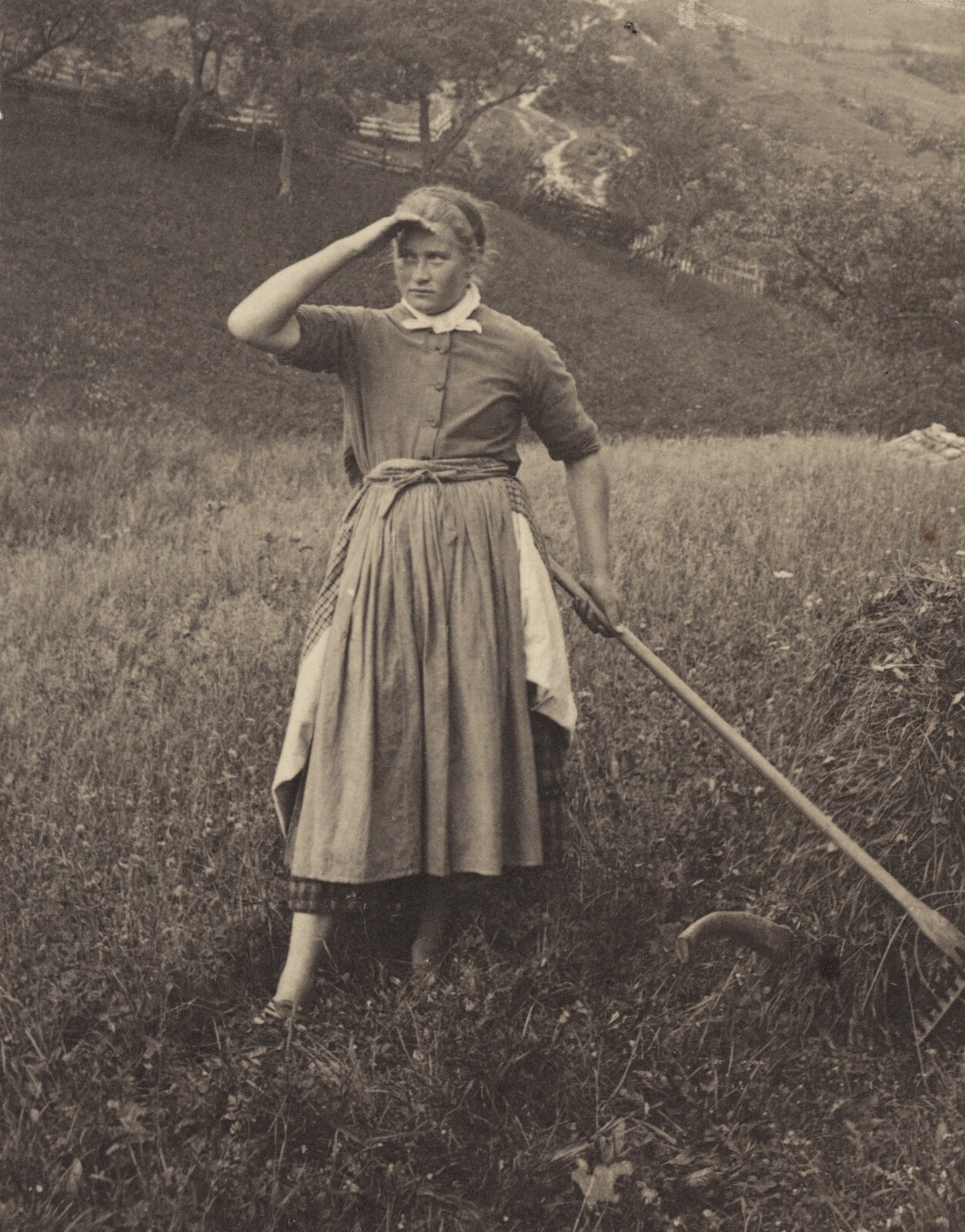The Harvest, Mittenwald, Alfred Stieglitz, 1886, printed 1895/1896
