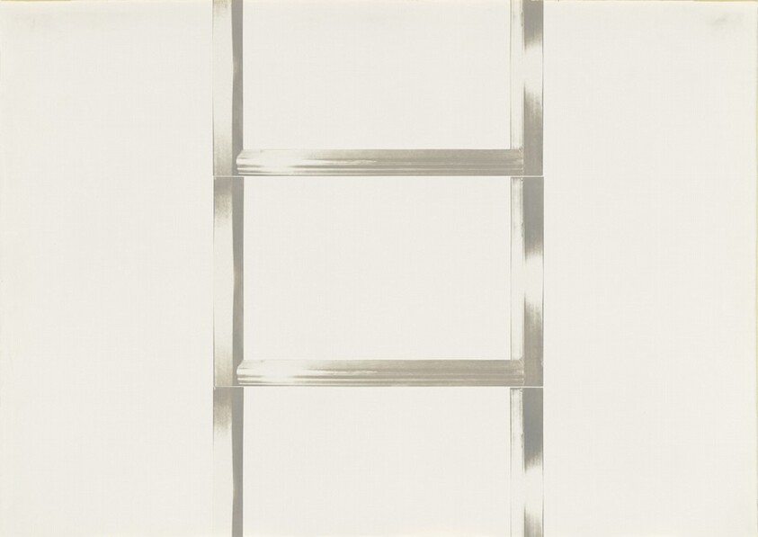 20 Foot Ladder for any Size Wall [VIII]