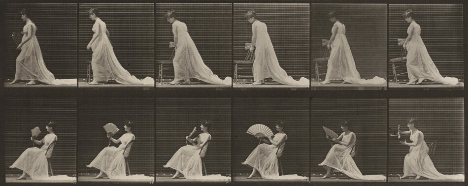 Plate Number 242. Placing chair, sitting and flirting a fan by Muybridge, Eadweard