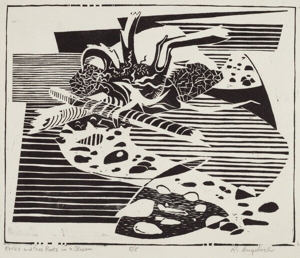 Rocks and Tree Roots in a Stream