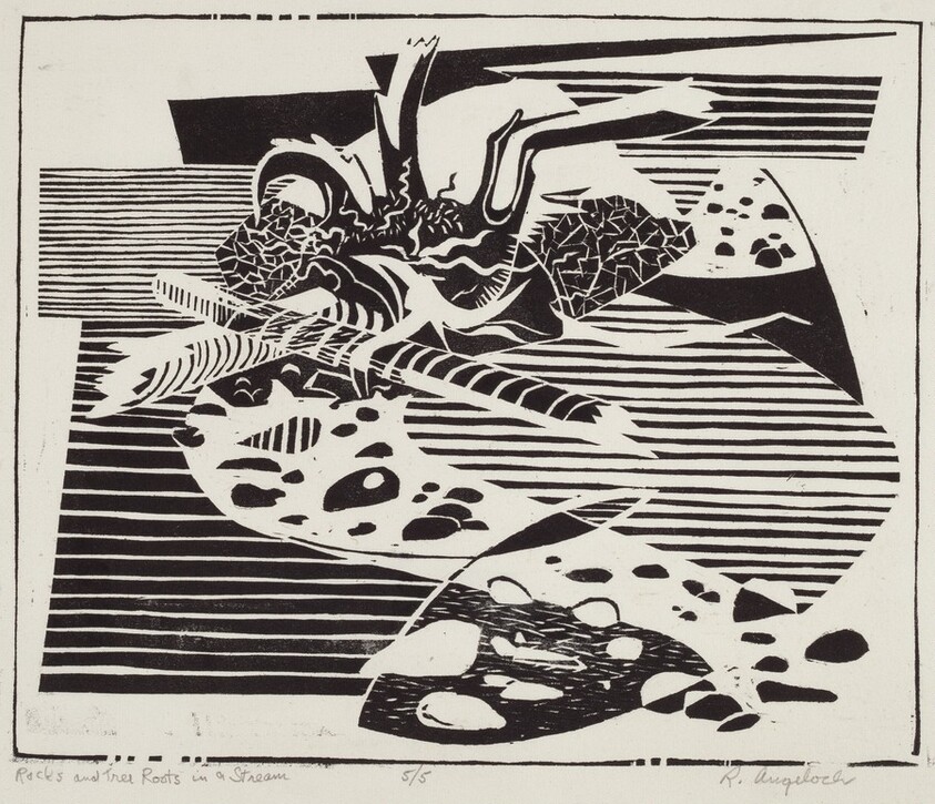 Rocks and Tree Roots in a Stream