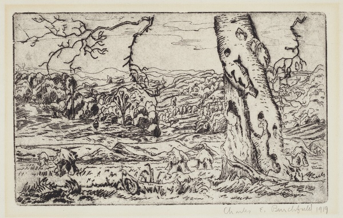 Beech Tree and Valley of the Little Beaver