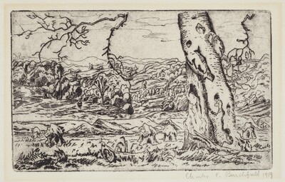 Beech Tree and Valley of the Little Beaver