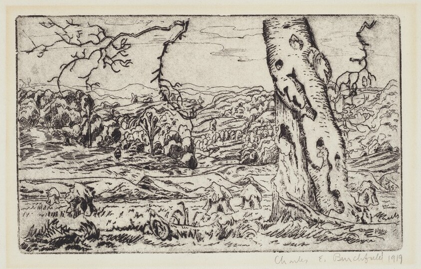 Beech Tree and Valley of the Little Beaver