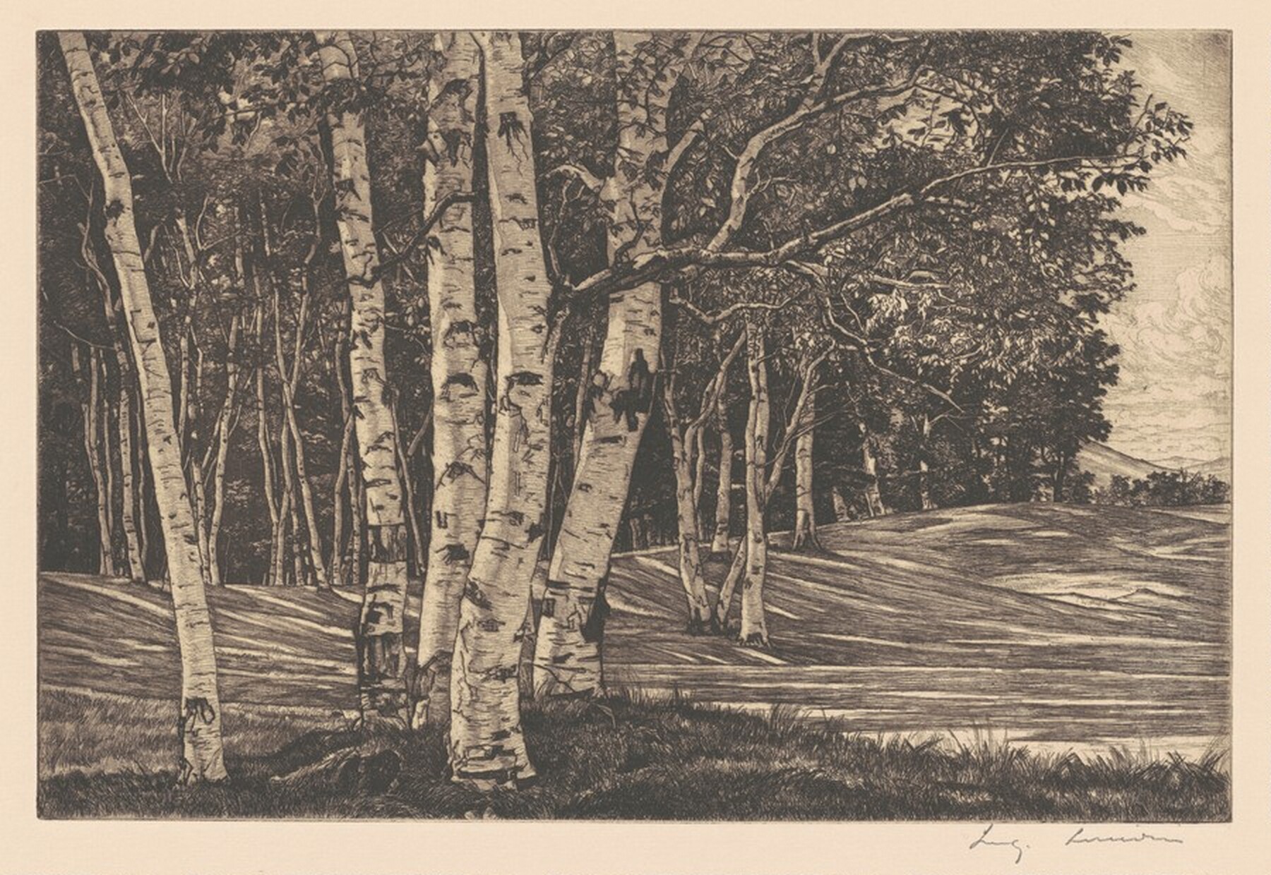 Birch Processional