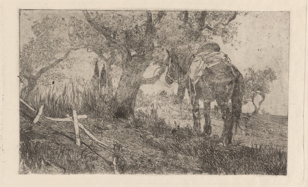 Horse at Midday (Cavallo a meriggio)